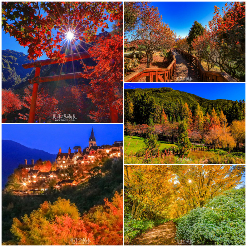 台灣【紅葉美景衝衝衝】一日強攻