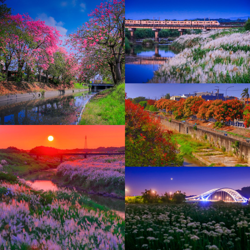 台灣【花卉鐵道夕日】一日強攻!!!