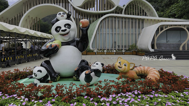 成都旅行 熊貓谷 沿著山林與熊貓偶遇，加碼推薦4個熊貓基地