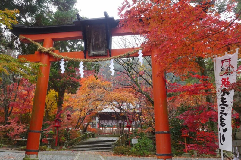 日本京都秋季賞楓攻略行程