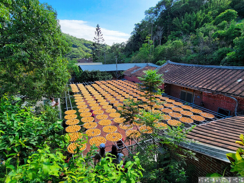 【新竹縣新埔鎮】2023新埔柿餅節｜金漢杮餅教育農園｜每年九月至隔年一月曬柿｜九降風限定版畫面