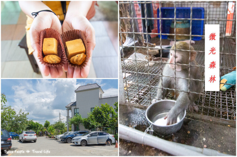 微光森林｜南投市免費吃點心喝喝茶的休息好去處～