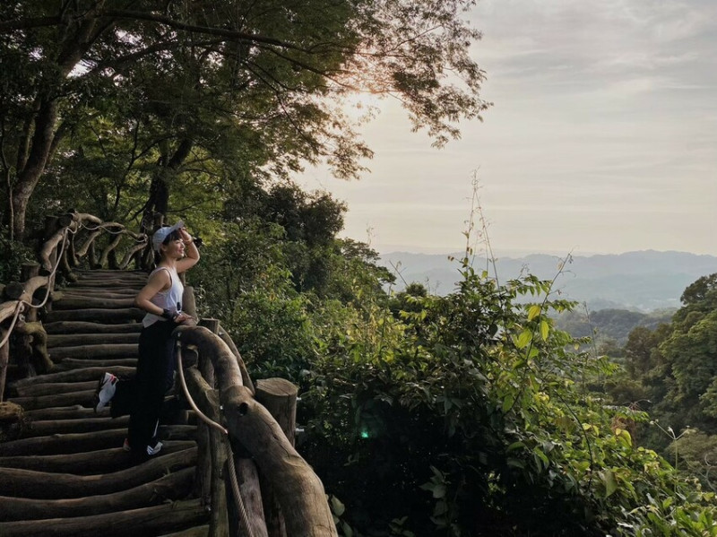 解鎖小百岳：大坑4號步道，相思圓木棧道串成山中遊樂場，最美最難也能輕鬆登頂！