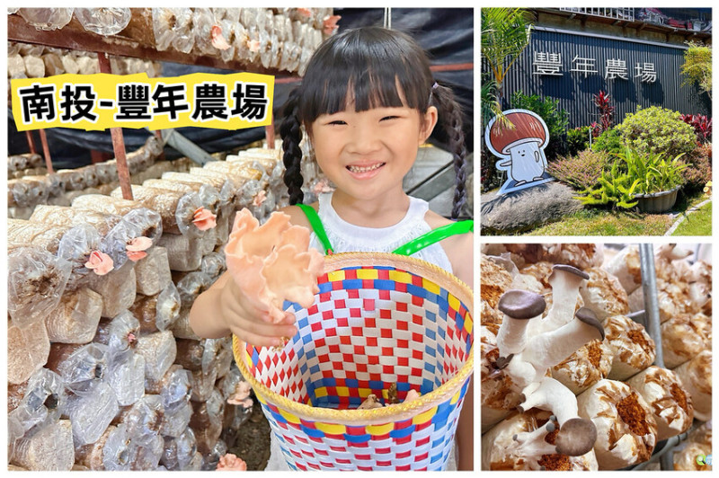 ★南投親子景點★ 豐年靈芝菇類生態農場，免門票參觀還有免費菇菇導覽可以認識各種菇類，親子同遊一起採香菇趣