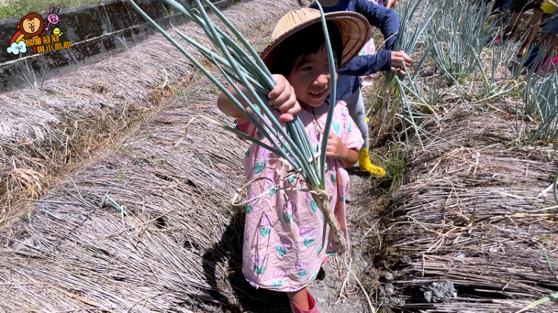 宜蘭農夫青蔥體驗農場，拔蔥洗蔥做蔥油餅超便宜耶