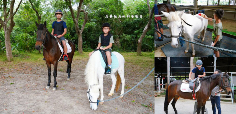 尼普頓馬術創藝園區 ❙ 體驗幫馬兒刷毛、穿裝備的樂趣，戶外騎馬、小森林拍美照，新竹景點!