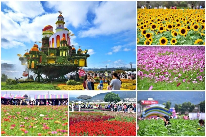 【2023臺中國際花毯節】：愛你愛山，璀璨重綻，全台最大規模，新社花海