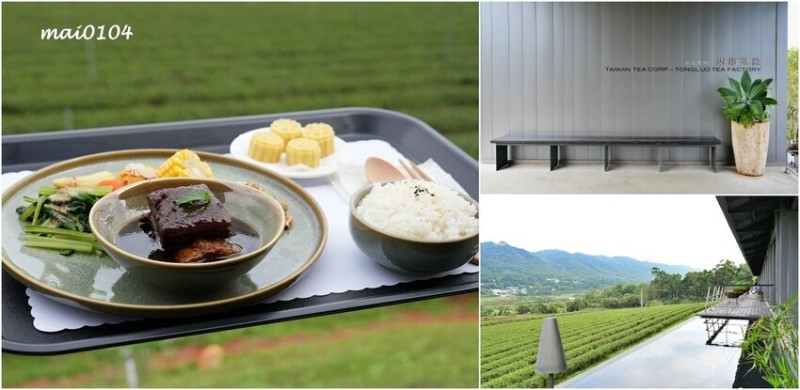 苗栗景點｜苗栗銅鑼茶廠～不用跑到高山上也能享受茶園靜謐之美，提供免費停車場、每人入廠費100元可全額折