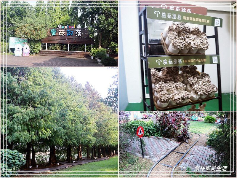 魔菇部落休閒農場-彰化埔心/DIYx伴手禮.趣味香菇主題館.門票可抵消費