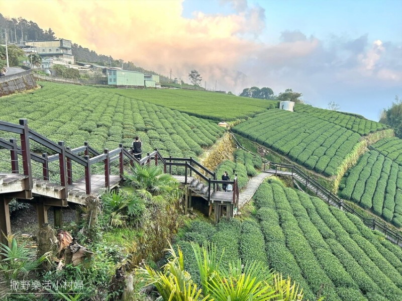 石棹步道群【霞之道】飽覽茶園風光，置身靜謐綠蔭竹林，輕鬆短程的忘憂步道｜阿里山步道推薦