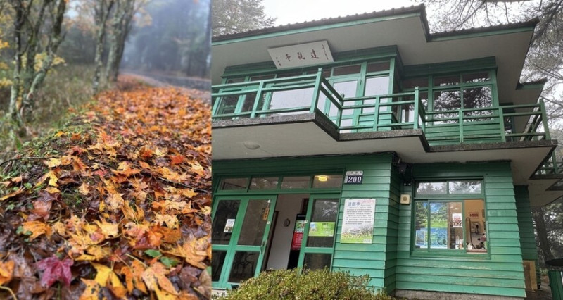 煙雨迷濛中的高山仙境【福壽山農場_天池】具有靈氣終年不竭，池畔喝杯咖啡再遊昔日蔣公行館「達觀亭」｜台中景點