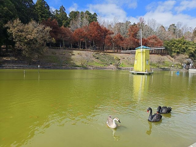 清境小瑞士花園| 清境旅遊必訪！北歐風情景觀．散心的好去處！