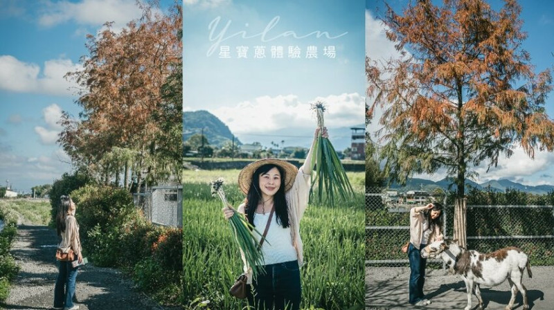 下田拔蔥 餵萌寵 超酷的親子體驗活動就在這裡！