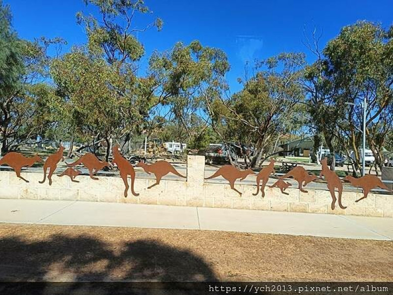 西澳景點／海登(Hyden)河馬岩與雞肉三明治午餐