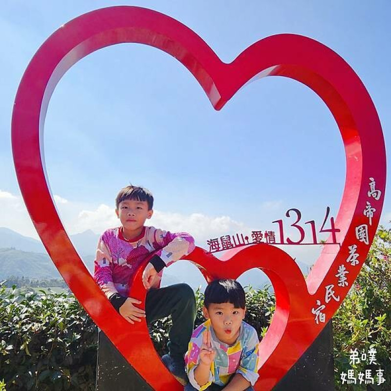 【嘉義】海鼠山1314觀景台