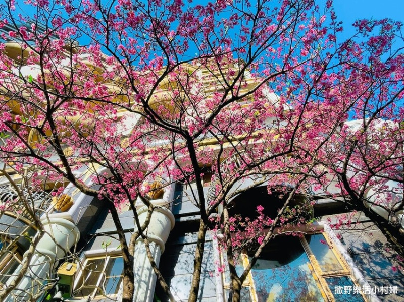 大台北捷運就能到的賞櫻景點【象山公園】信義豪宅旁的粉嫩櫻花也浪漫｜台北景點