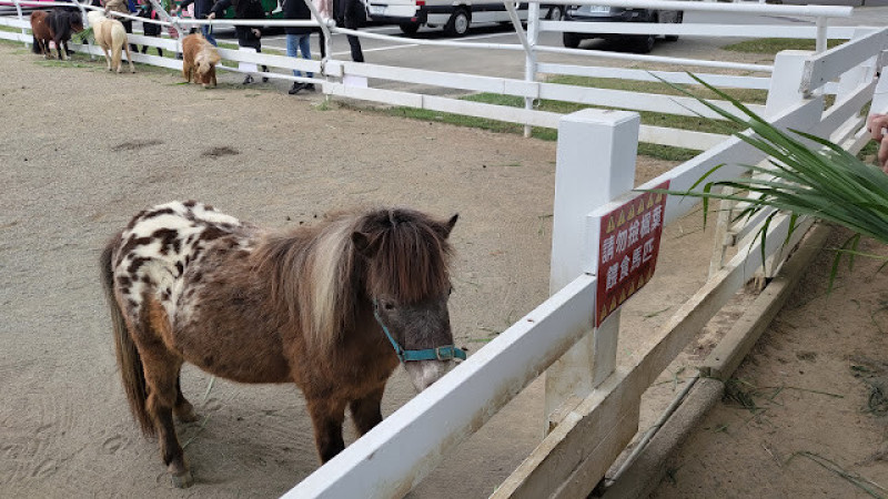 【遊記】行花東公路之深 (台9線) ，初鹿牧場 - 大漠國渡