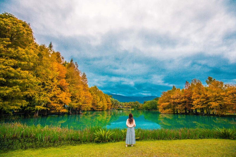花蓮縣壽豐鄉雲山水夢幻湖｜落羽松森林轉紅了！超美雲山水夢幻湖景