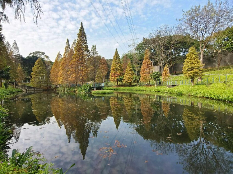 桃園市龜山區【桃園景點】2024龜山長庚養生文化村‧環湖步道落羽松秘境│半日遊‧輕旅行│怎麼去‧交通‧公車‧客運‧機場捷運