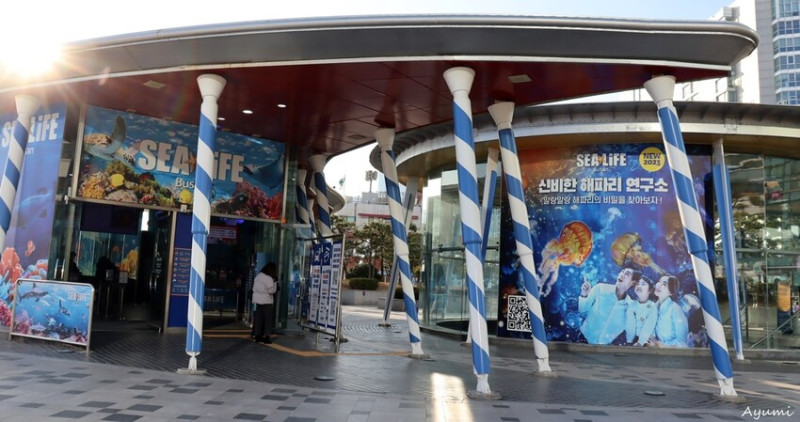 [2024年釜山行]SEA LIFE부산아쿠아리움/精彩的美人魚秀/釜山海雲台散步拍照/大小朋友一起同樂
