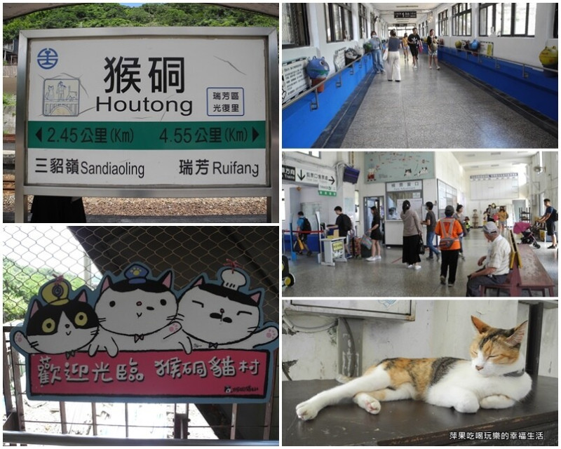 【新北市。瑞芳區】猴硐貓村/猴硐瑞三礦業整煤廠/願景館及遊客中心/來看可愛的貓貓/臺灣煤業發展歷史參觀