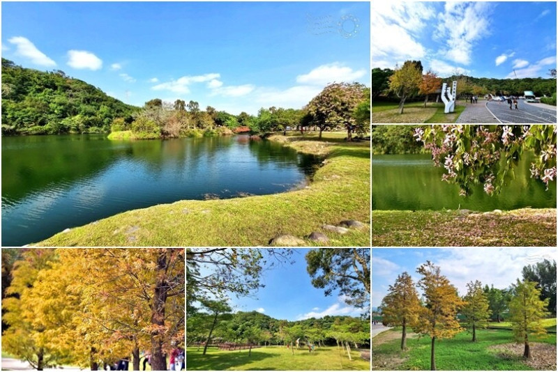 桃園市龍潭區桃園龍潭【三坑自然生態園區】：3.8公頃原始生態，湖光山景，野餐戲水溜小孩好地方，還有落羽松！