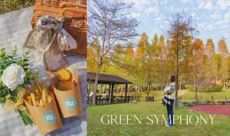 新竹縣芎林鄉新竹景點》小森之歌。離市區僅15分鐘的夢幻落羽松步道，週末來場愜意的野餐吧！