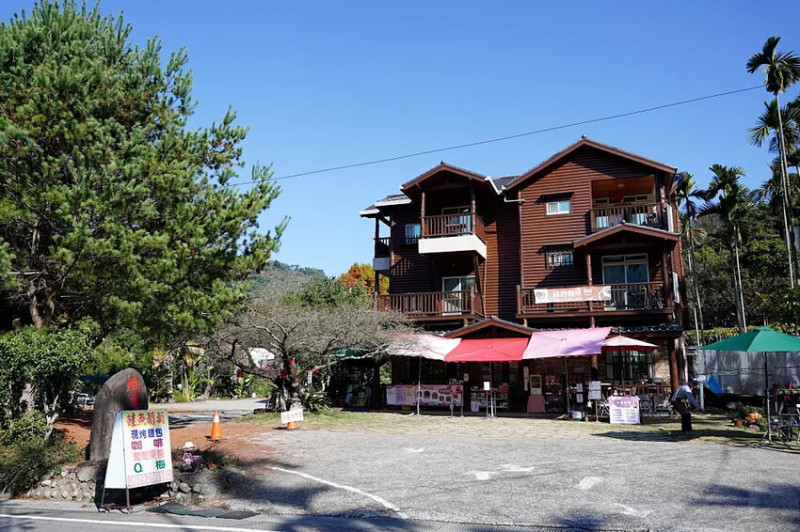 台中市新社區2024新社梅花隧道｜新社賞梅秘境，鮭魚葡萄梅花隧道!