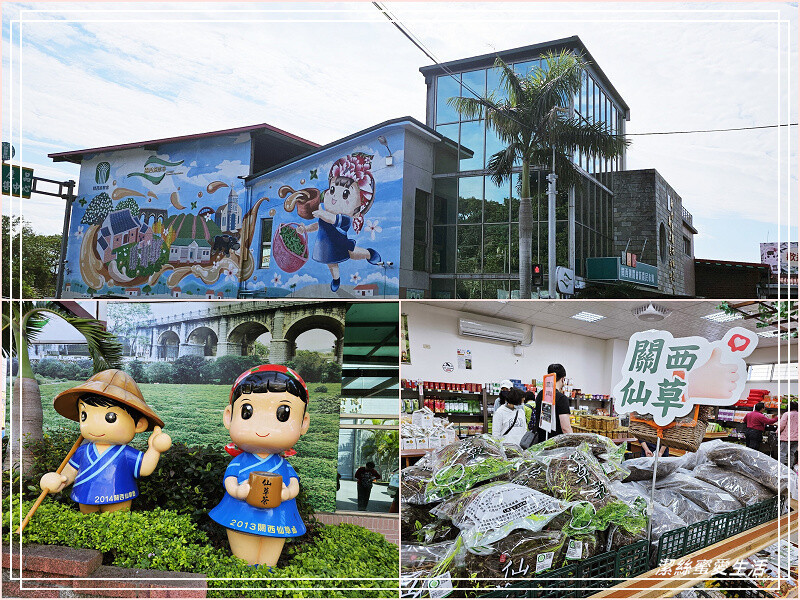 新竹縣關西鎮關西鎮農會-新竹關西/吃仙草買伴手禮~假日順遊小點