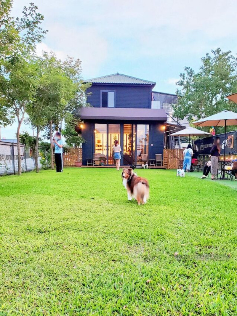 桃園市平鎮區桃園市平鎮區BELLA PATIO 桃園寵物友善咖啡廳 桃園特色咖啡廳 桃園假日咖啡廳