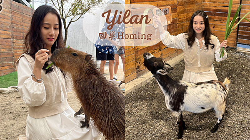 【宜蘭景點】礁溪網美必朝聖新景點|近距離餵食可愛動物|荒野沙漠造景回巢Homing|天竺鼠、羊、水豚、鸚鵡