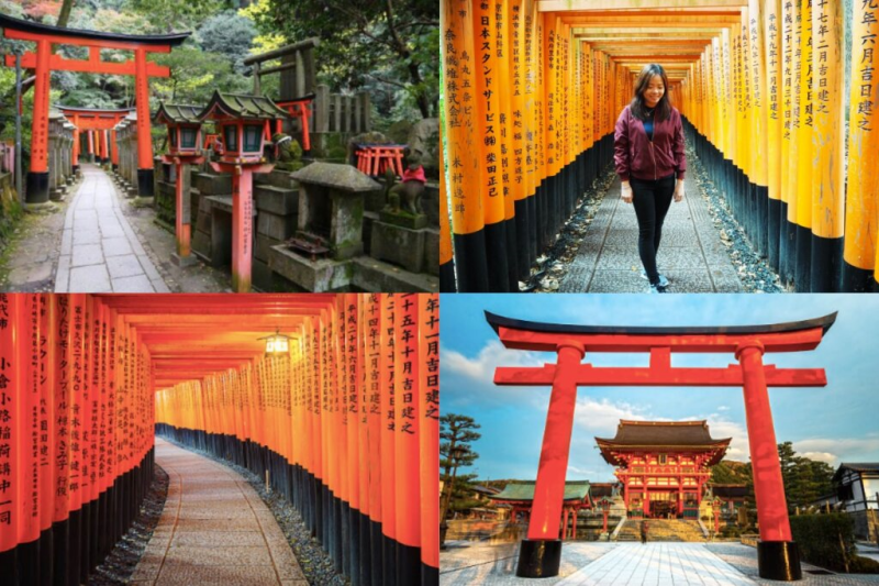 【三大京都景點】一篇搞定京都經典和熱門景點