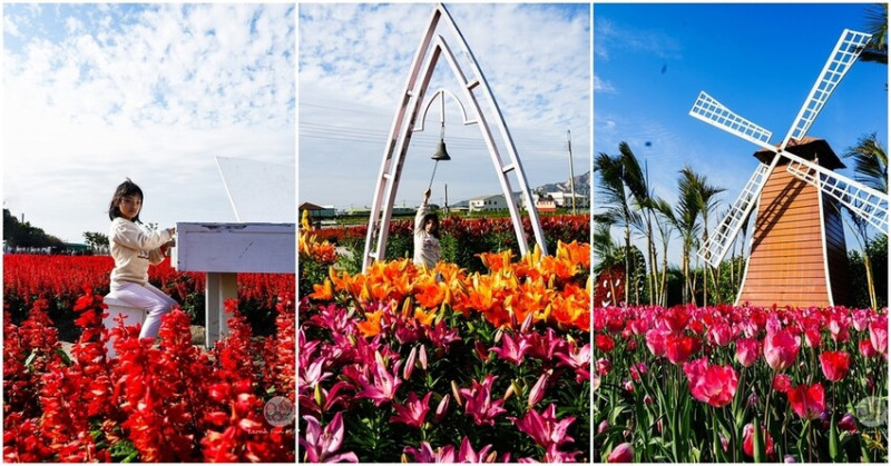 台中市后里區台中賞花景點|中社觀光花市-歐式花園賞鬱金香花海、落雨松，門票優惠、花況、交通資訊攻略|烤肉吃到飽