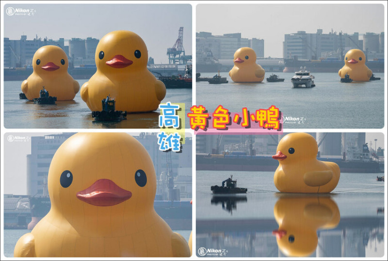 高雄市苓雅區【高雄景點】2024黃色小鴨重返愛河灣‧燈光展演光雕│冬日遊樂園地景藝術裝置‧遊樂設施‧美食市集‧藝文展演│怎