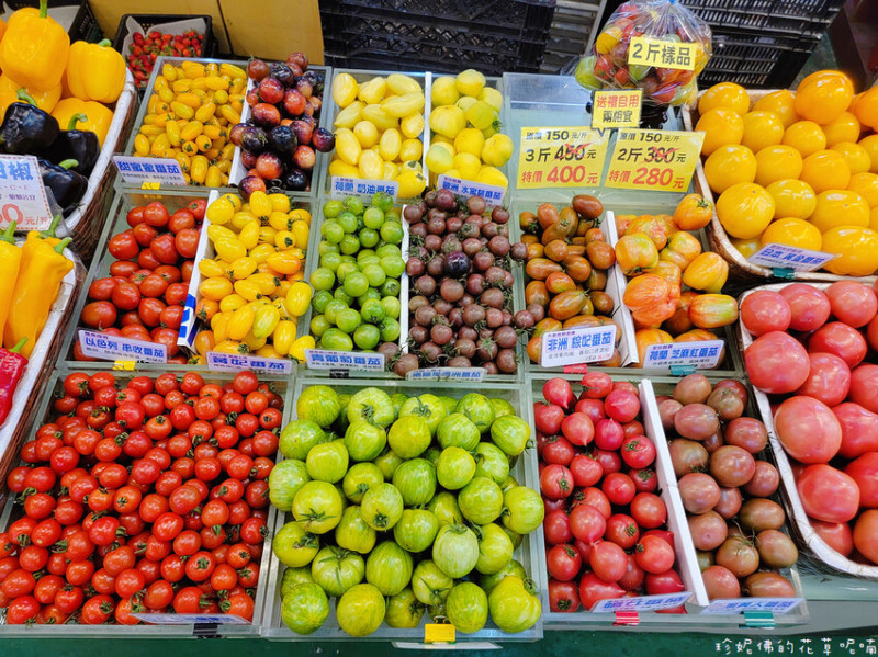 【新竹縣關西鎮】金勇DIY蕃茄農場｜可採溫室高架草莓及蕃茄｜各色蕃茄拼盤｜蕃茄煉乳冰沙｜草莓杯｜天使白草莓