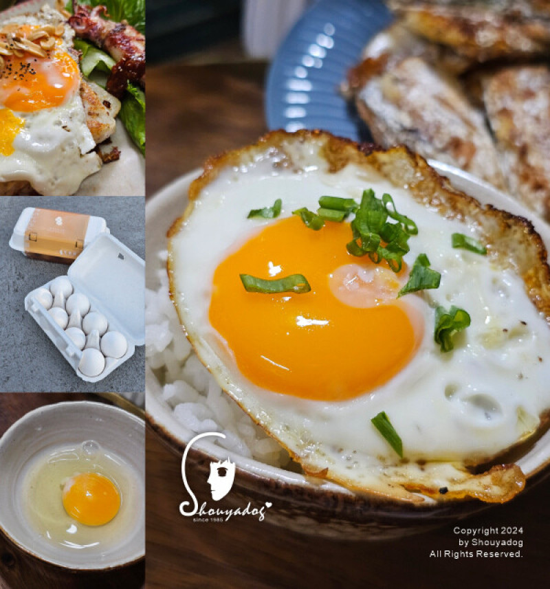 【生食級雞蛋推薦】Good Mall 龜毛集品 SPF 龜毛生食蛋 好吃的蛋蛋在這裡