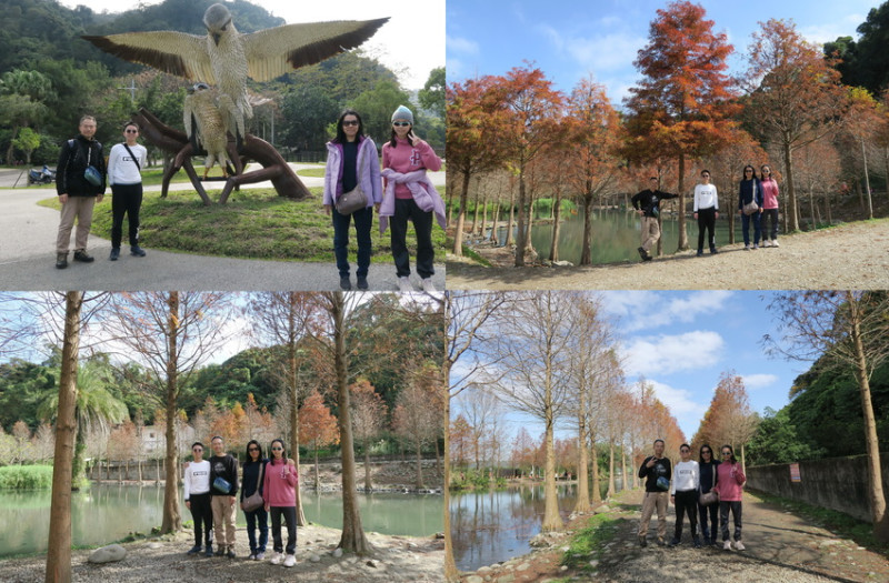 桃園景點63個，其中桃園免費景點有49個、坐火車可以到的景點有4個、坐捷運可以到的景點有6個