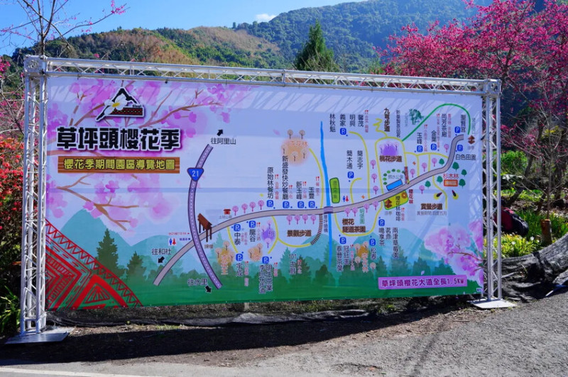 南投縣信義鄉2024草坪頭明生李白花步道｜走在李花隧道讓你感覺在夢境一般!