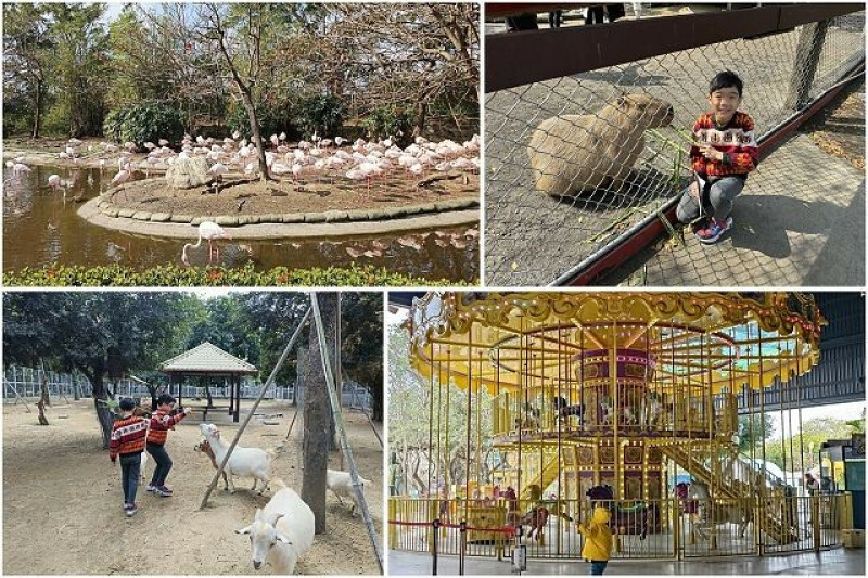 台南市學甲區頑皮世界野生動物園 | 台南親子景點．南台灣最大動物園．近距離餵食動物好有趣．還有樂園設施無限玩！