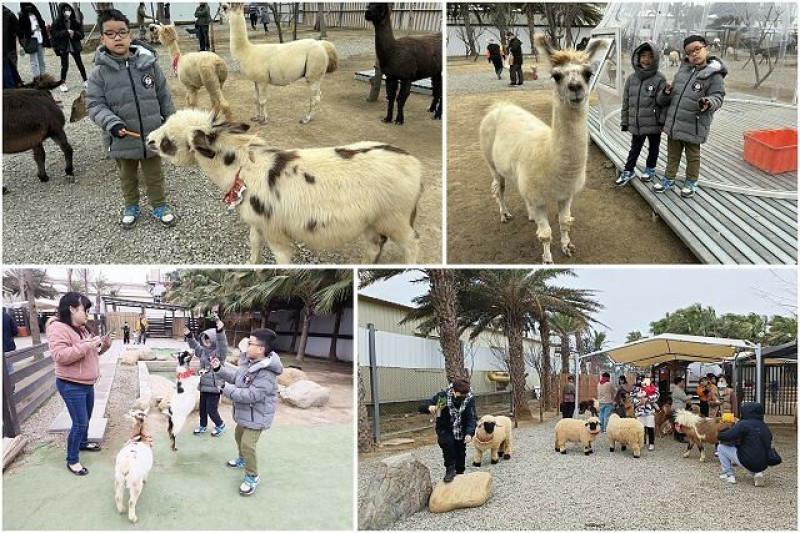 新竹市香山區廢物媽媽育兒農場 | 新竹超人氣親子景點．感受被動物們包圍的樂趣．近距離餵食體驗超有趣