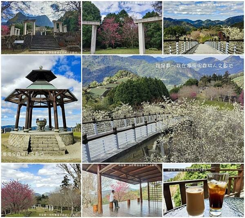 『嘉義。寒溪呢森林人文叡地』～2024櫻花季／福爾摩沙白櫻／大山大景