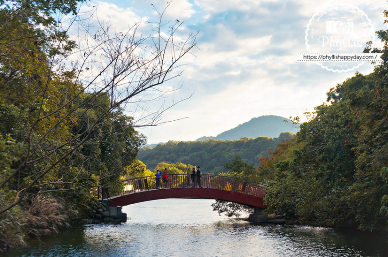 自然樂活必去『三坑自然生態公園』免費親子景點｜風景如畫空氣清新｜讓你逛完超放鬆｜龍潭景點 - 相片中的菲莉絲