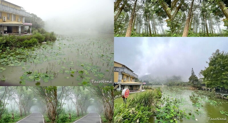 苗栗縣南庄鄉【苗栗】向天湖   賽夏族世代守護的聖地，環湖一圈只要25分鐘 ，感受仙境般的美。起霧真的是一瞬間的事。