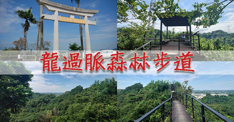 【雲林景點】龍過脈森林步道(寵物友善景點)，步道蜿蜒於稜線狀似一條龍的背脊，遠處開闊的視野可180度遠眺美景讓人看著有種心胸開闊感，還可以順便收集三座鳥居。雲林步道