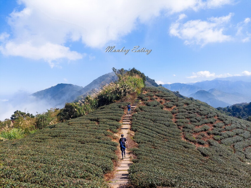 【雲嘉18連峰】嘉義雲林40K大縱走，必拍超美高山茶園。樟腦寮起登。補給點路線攻略。越野跑練習場 - 貪吃猴的幻想