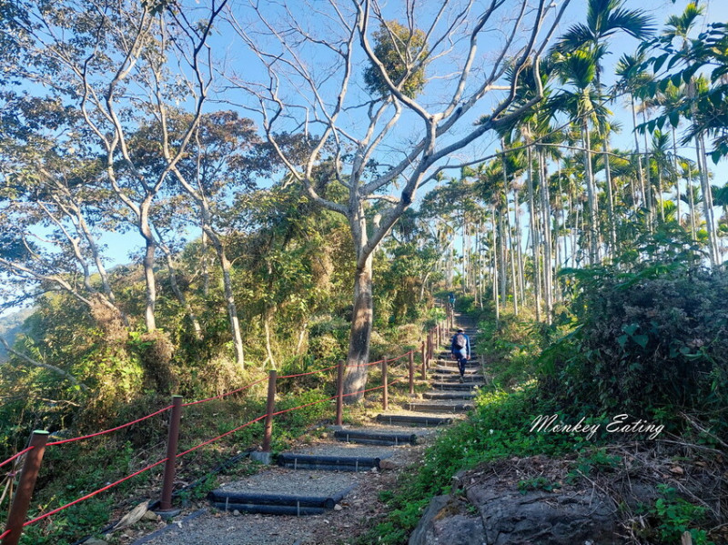 【嘉義竹崎】阿拔泉山步道｜樟腦寮起登，低海拔雲海美景，步道攻略。停車資訊 - 貪吃猴的幻想