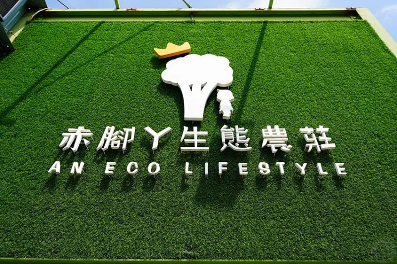 台中市大雅區赤腳ㄚ生態農莊｜台中大雅親子莊園，釣牛蛙、沙坑、樹屋等…