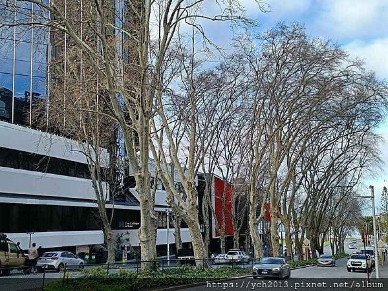 西澳伯斯聖母主教座堂St. Mary's Cathedral