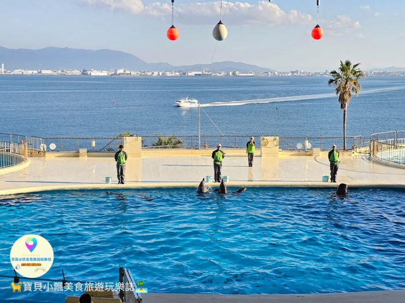 日本[旅遊]日本 福岡 觀賞獨特魅力的海洋生物 九州人氣景點 海の中道水族館