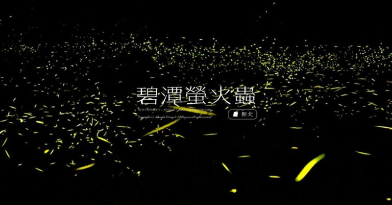 新北市新店區「2024和美山螢火蟲季」捷運出站10分鐘！復育10年螢況爆發（自製一個防漏光手機拍攝紙盒）